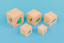 Load image into Gallery viewer, Freckled Life Cycle Wooden Blocks