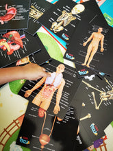Load image into Gallery viewer, TEDDO PLAY HUMAN ANATOMY LEARNING SET - OUR BODIES INSIDE &amp; OUT