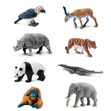 Load image into Gallery viewer, Safari Ltd Asian Animals TOOB