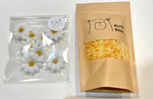 Load image into Gallery viewer, Alfie Bear 4 Seasons Sensory Rice &amp; Loose Parts