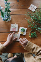 Load image into Gallery viewer, Grapat 2025 Reusable Advent Calendar