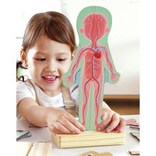 Load image into Gallery viewer, Hape Human Body Magnetic Puzzle
