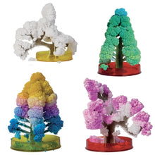 Load image into Gallery viewer, Science Museum Science Museum Create Your Own Crystal Forest