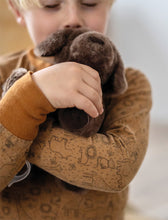 Load image into Gallery viewer, Small Foot Dog with Carry Bag and Care Set
