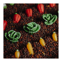 Load image into Gallery viewer, Petit Boum - Learn Veggies Bottle