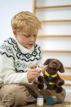 Load image into Gallery viewer, Small Foot Dog with Carry Bag and Care Set