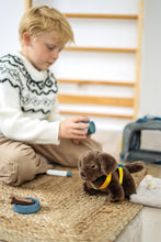 Load image into Gallery viewer, Small Foot Dog with Carry Bag and Care Set