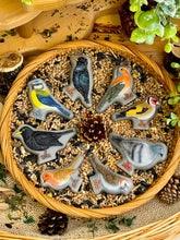 Load image into Gallery viewer, Yellow Door  – Birds – Sensory Play Stones