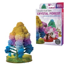 Load image into Gallery viewer, Science Museum Science Museum Create Your Own Crystal Forest