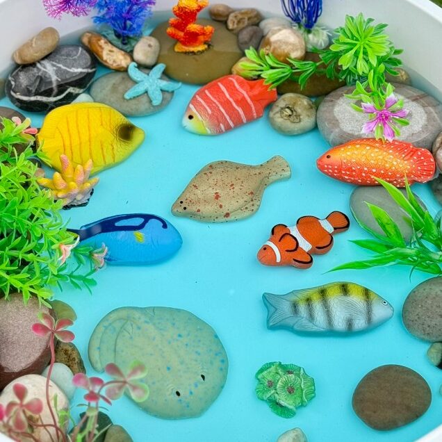 Yellow Door Fish – Sensory Play Stones