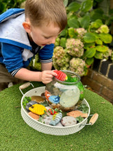 Load image into Gallery viewer, Yellow Door Fish – Sensory Play Stones
