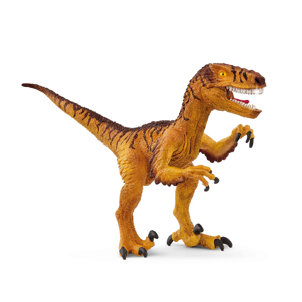 Schleich Velociraptor NEW
