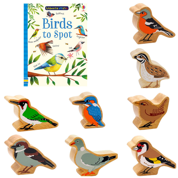 Birds to Spot Story Bundle