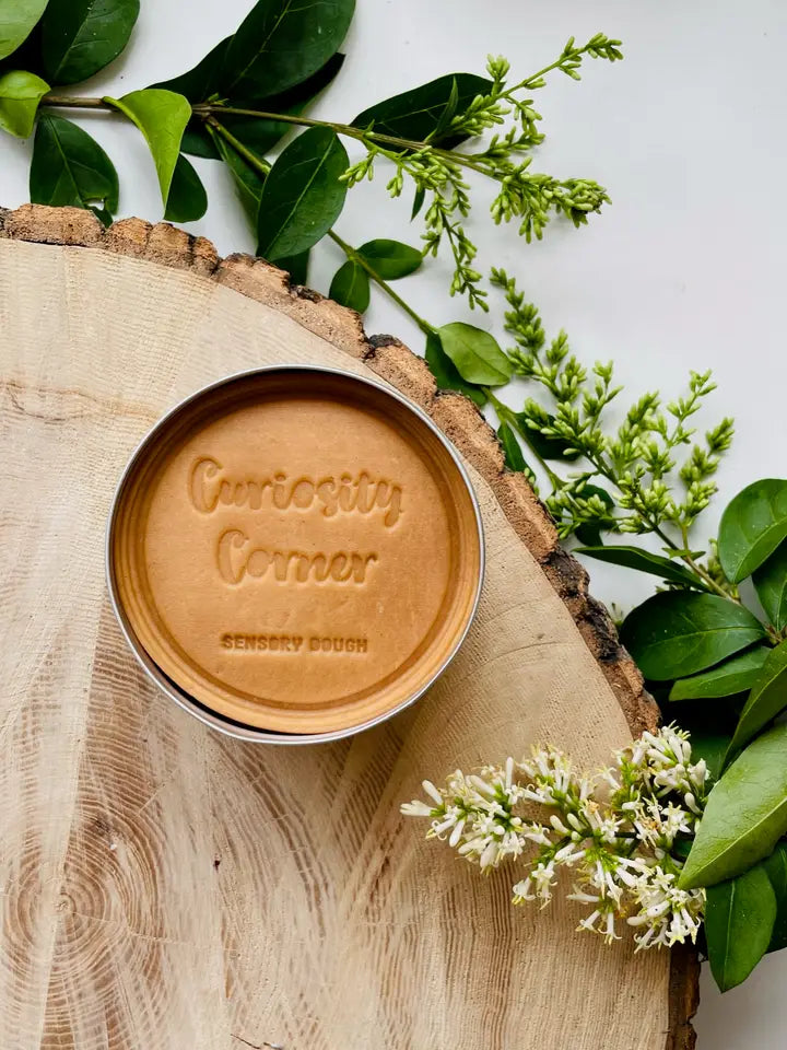 Curiosity Corner Sensory Dough 300g - Crushed Ginger