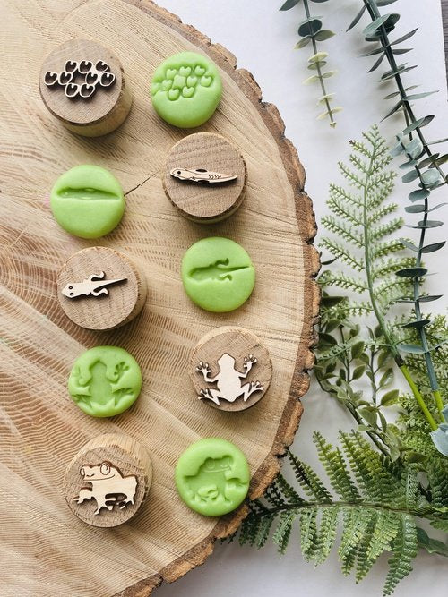 Curiosity Corner Oak Stamps - Frog Life Cycle Set *1 missing*