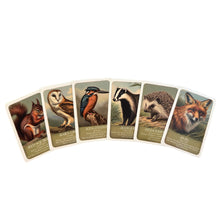 Load image into Gallery viewer, Wildlife &quot;Pairs&quot; Card Game