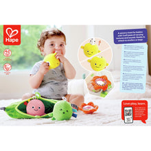 Load image into Gallery viewer, Hape Pea Pod Pals