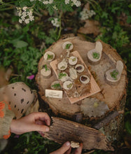 Load image into Gallery viewer, The Den Kit The Fairy Garden Kit