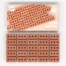 Load image into Gallery viewer, Inspire My Play Mini Bricks