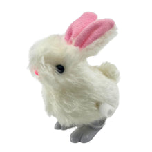 Load image into Gallery viewer, Wind-up Hoppity Bunny