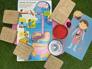 The Human Body Sensory Boards Oak - Set of 5