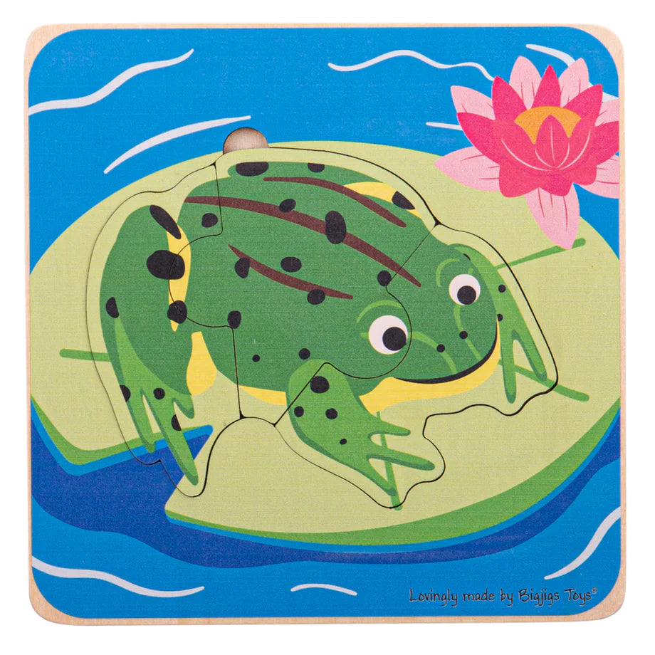 Bigjigs Lifecycle Puzzle - Frog