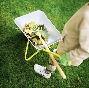 Small Foot Wheelbarrow with Gardening Tools