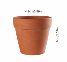 Load image into Gallery viewer, Mini Ceramic Plant Pots x2