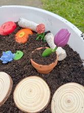 Load image into Gallery viewer, Mini Ceramic Plant Pots x2