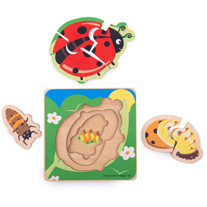 Bigjigs Lifecycle Puzzle - Ladybug