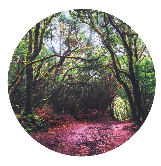 Tickit Forest Discovery Play Mat