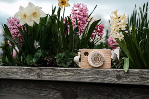Natural Wooden Camera