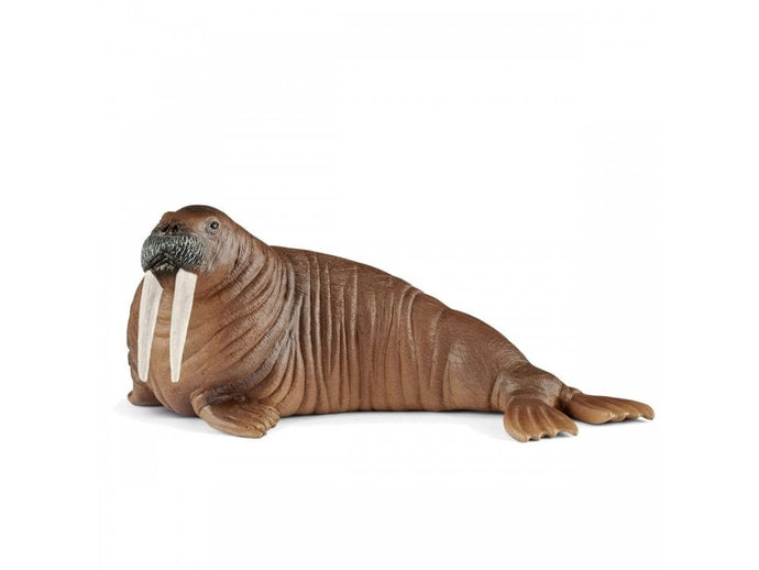 Schleich Walrus