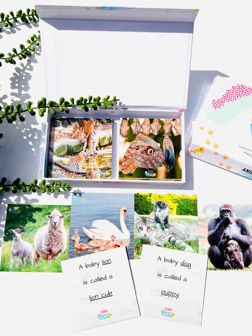 TEDDO PLAY 20 LEARNING CARDS MINI SET - Animals and their Young