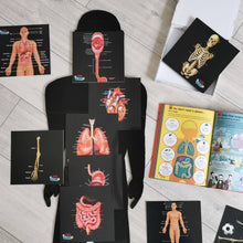 Load image into Gallery viewer, TEDDO PLAY HUMAN ANATOMY LEARNING SET - OUR BODIES INSIDE &amp; OUT