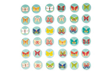 Load image into Gallery viewer, Scratch Game 3-in-1 Butterfly Game