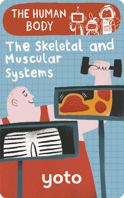 Yoto Audio Card - The Human Body: The Skeletal and Muscular Systems