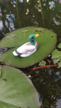 Load image into Gallery viewer, Wudimals® Duck Swimming