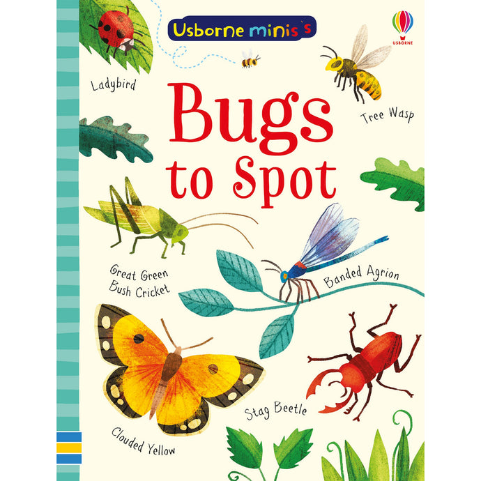 Bugs to Spot - Usbourne Mini