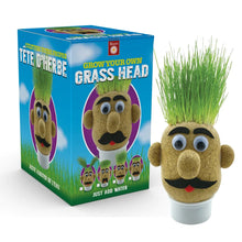 Load image into Gallery viewer, Grow Your Own Grass Head