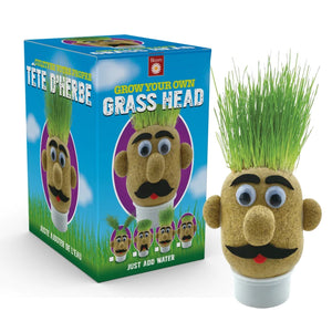 Grow Your Own Grass Head