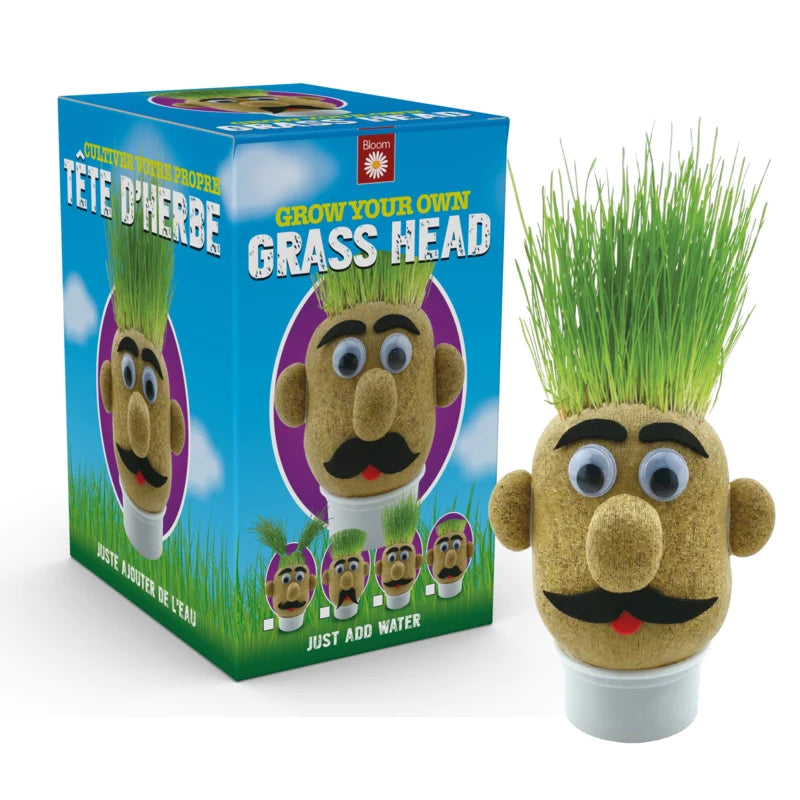 Grow Your Own Grass Head