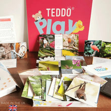 Load image into Gallery viewer, TEDDO PLAY 40 LEARNING CARDS - BEAUTIFUL BIRDS &amp; INSECTS (FACTS EDITION)