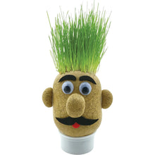 Load image into Gallery viewer, Grow Your Own Grass Head