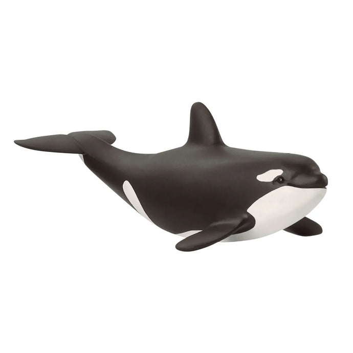 Schleich Baby Killer Whale