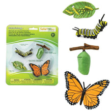 Load image into Gallery viewer, Safari Ltd Life Cycle of a Monarch Butterfly