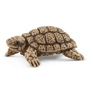 Schleich Tortoise Home