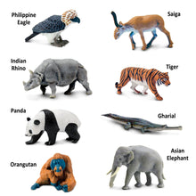 Load image into Gallery viewer, Safari Ltd Asian Animals TOOB