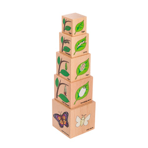 Freckled Life Cycle Wooden Blocks