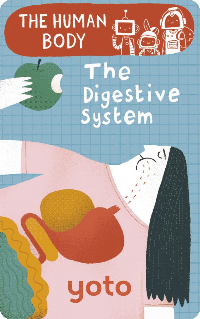 Yoto Audio Card - The Human Body: The Digestive System
